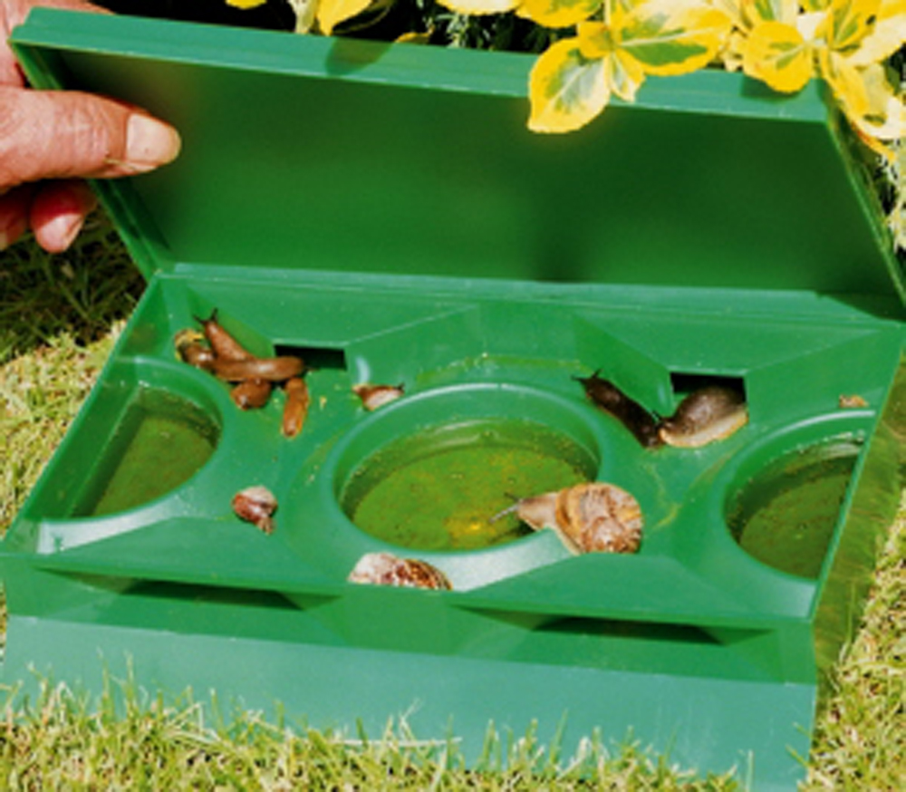 Slug X Slug Snail Beer Trap Pest Control